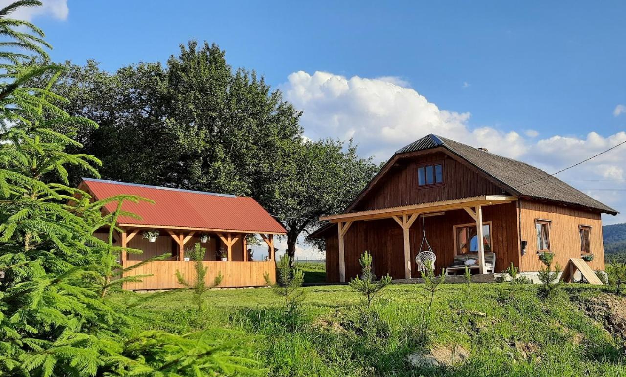 Омріяні Карпати Villa Smozhe Ngoại thất bức ảnh