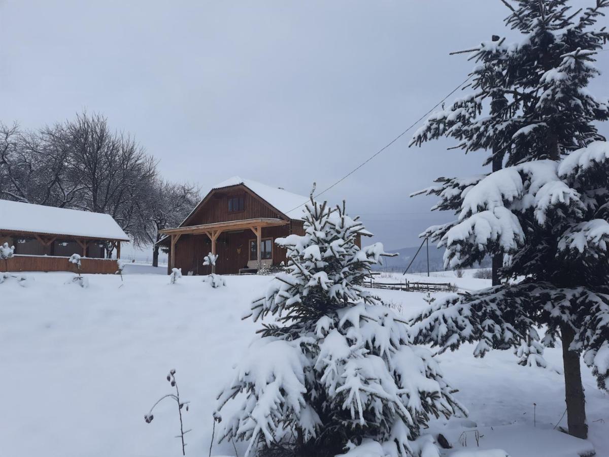 Омріяні Карпати Villa Smozhe Ngoại thất bức ảnh